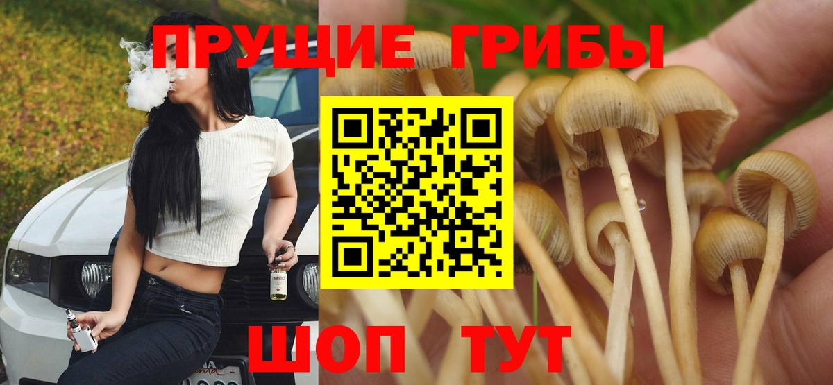 Галлюциногенные грибы MAGIC MUSHROOMS  Галлюциногенные грибы MAGIC MUSHROOMS  Коркино  Вход с VPN 