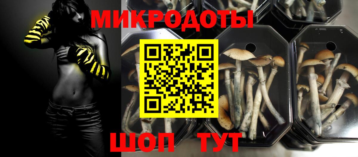 Галлюциногенные грибы мухоморы Коркино